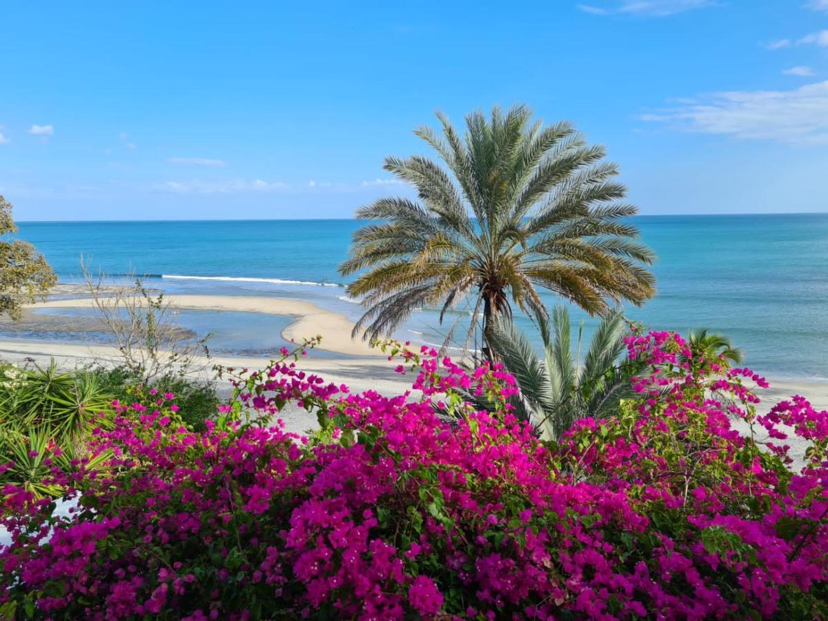 Cafegourmetptacorona سان كارلوس المظهر الخارجي الصورة